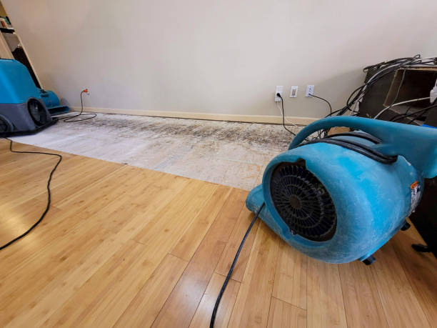 Professional Burst Pipe Water Damage technician working in Thompson, MO